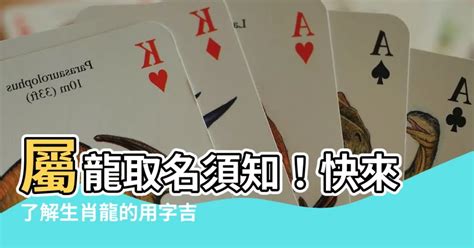 屬龍取名字|生肖屬龍的特性解說及喜、忌用字庫